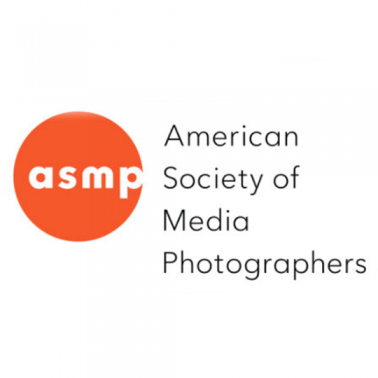 Amberican Society of Media Photographers Badge